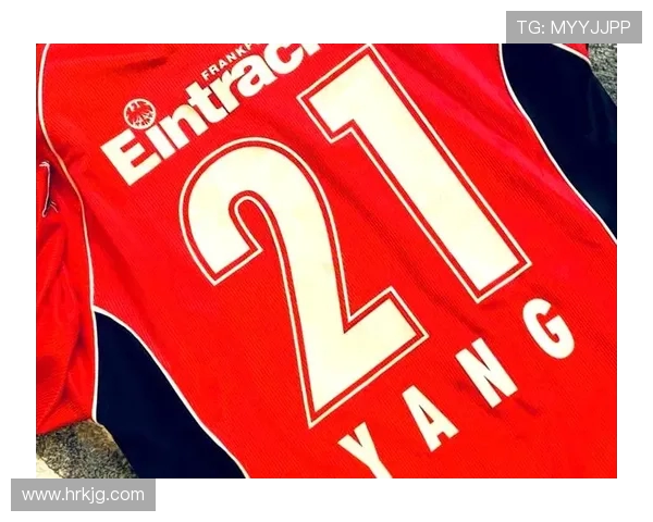 2017赛季德甲球队球衣设计与品牌回顾